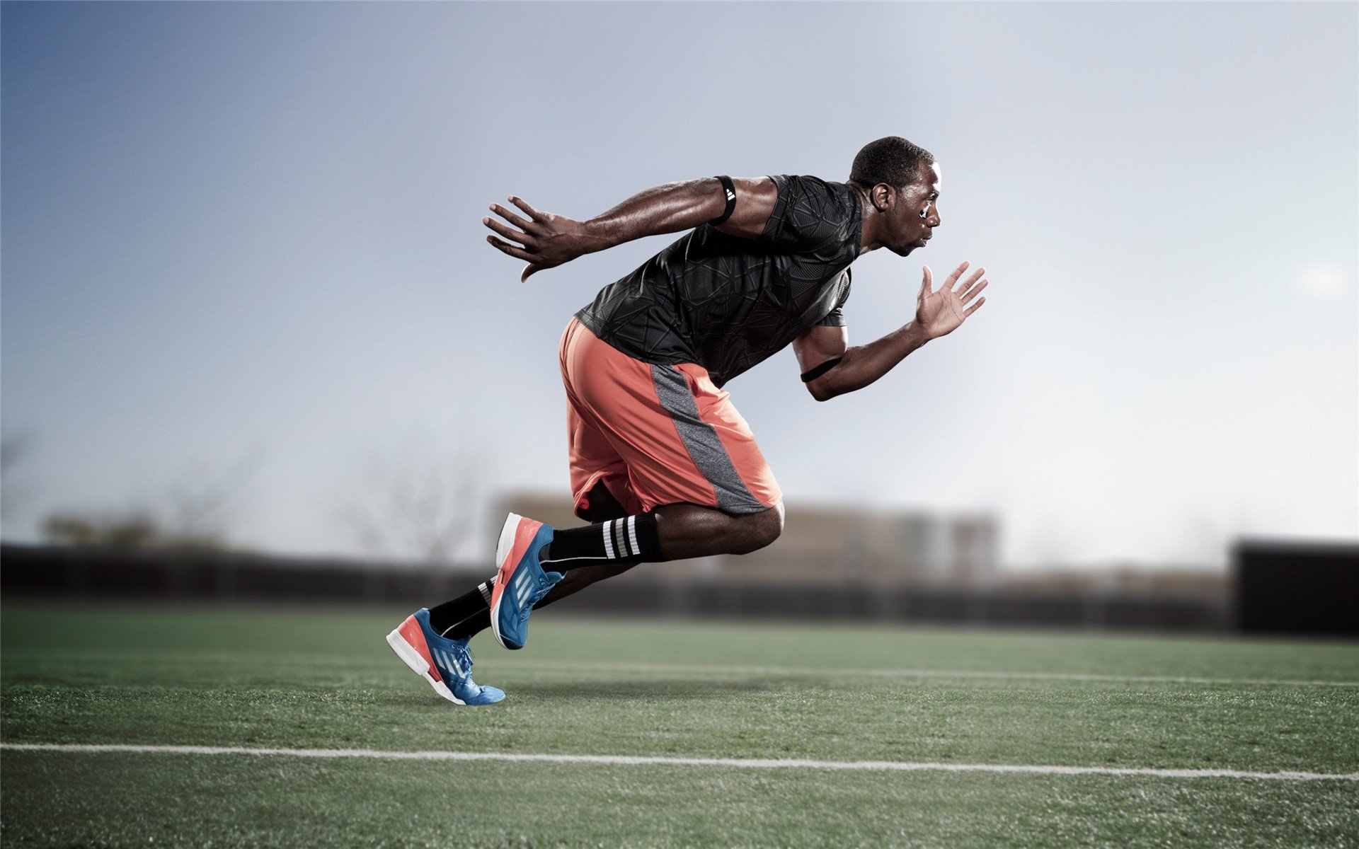 决赛焦点之一：贾瓦迪挑战世界强者，贾亚瓦德纳